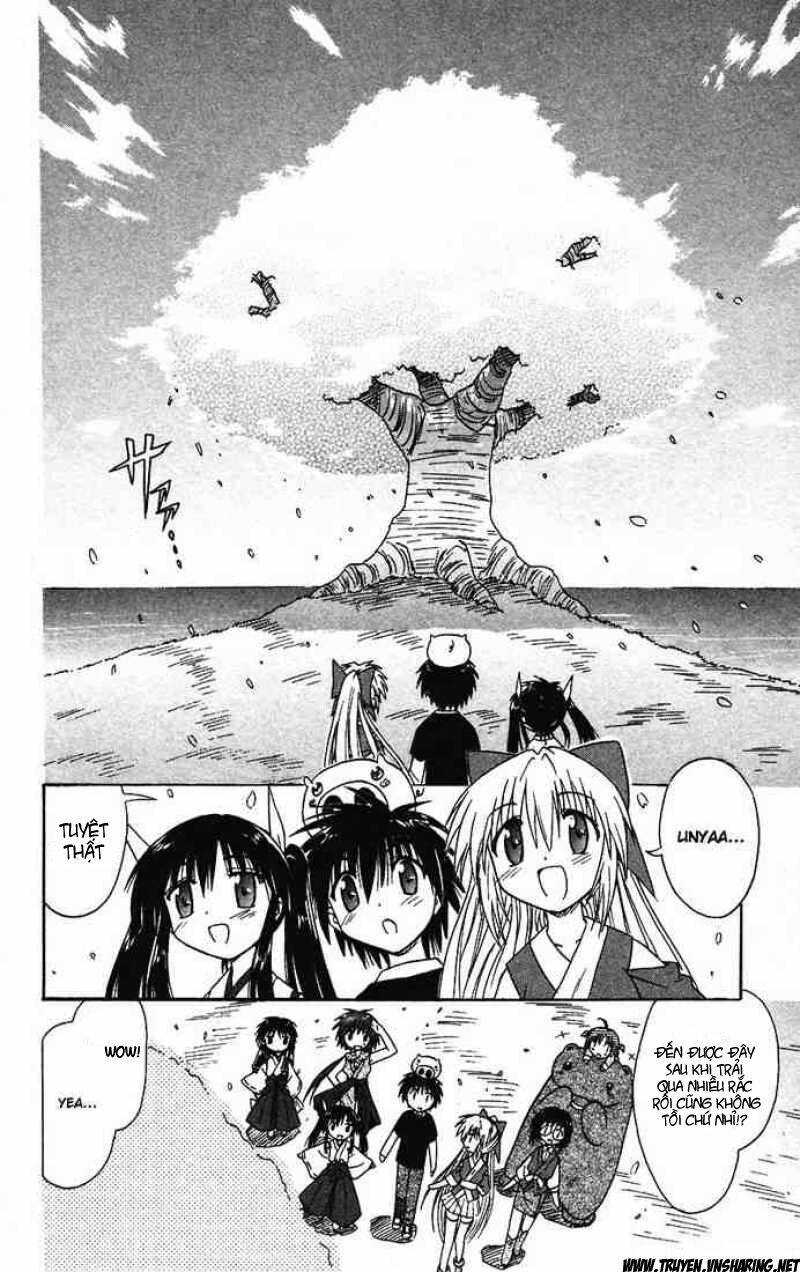 Nagasarete Airantou Chapter 14 - Trang 2