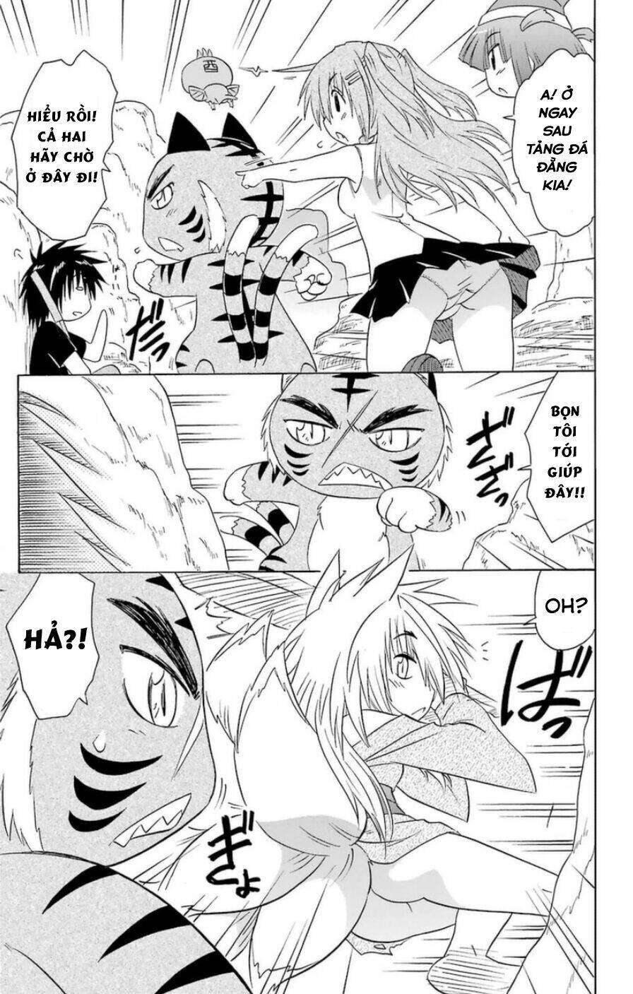 Nagasarete Airantou Chapter 149 - Trang 2