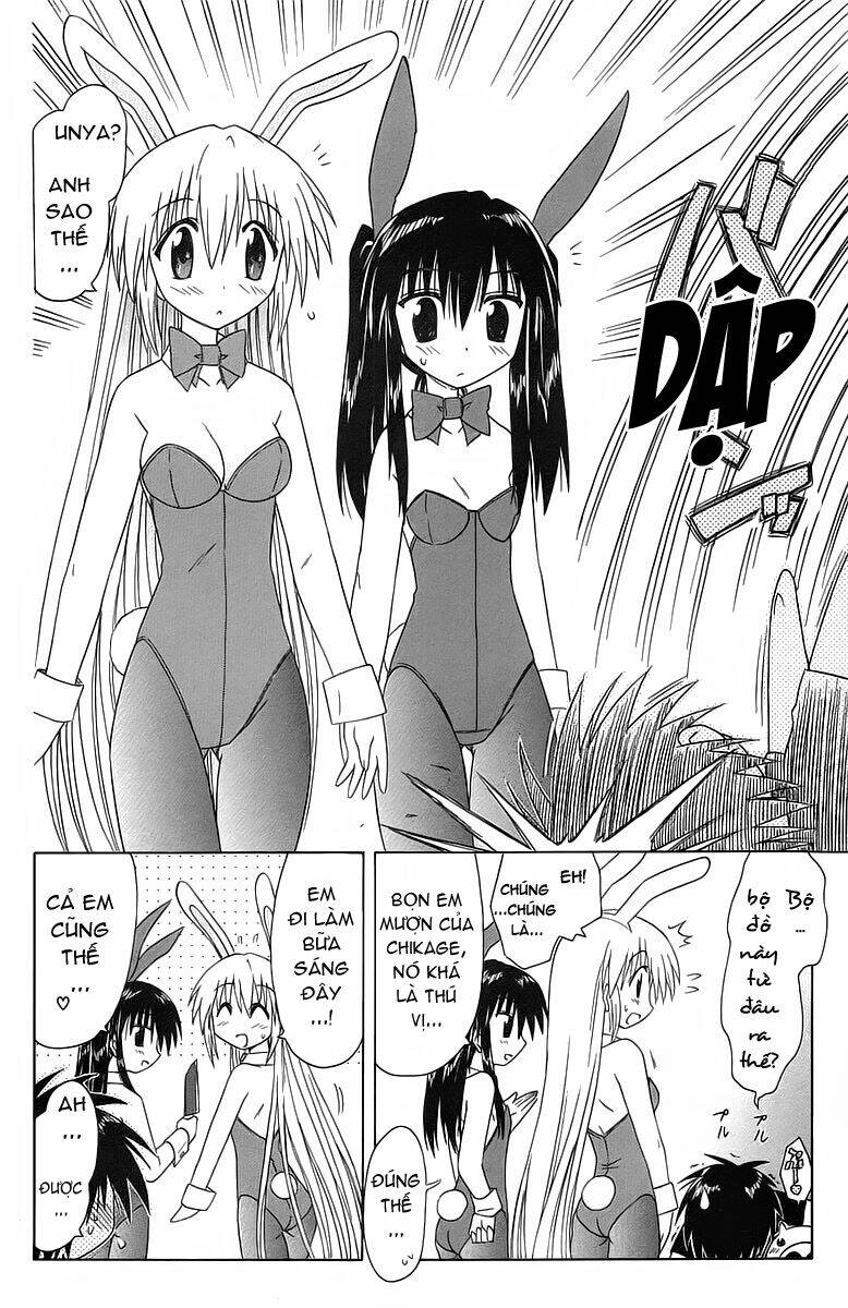 Nagasarete Airantou Chapter 33 - Trang 2