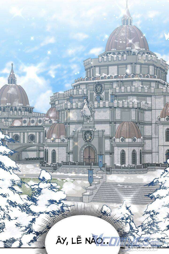 Nam Chính Là Chồng Cũ Của Tôi Chapter 1 - Trang 2