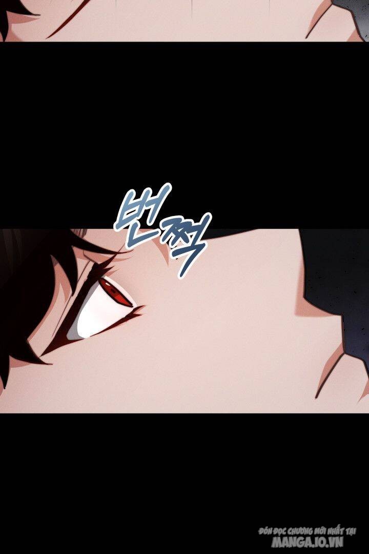 Nam Chính Là Chồng Cũ Của Tôi Chapter 10 - Trang 2