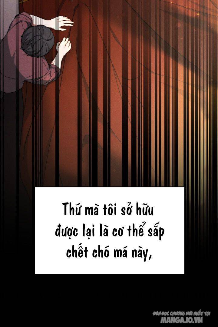 Nam Chính Là Chồng Cũ Của Tôi Chapter 10 - Trang 2