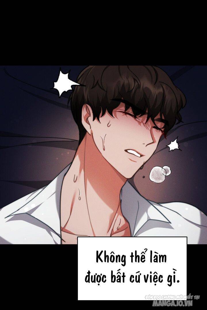 Nam Chính Là Chồng Cũ Của Tôi Chapter 10 - Trang 2