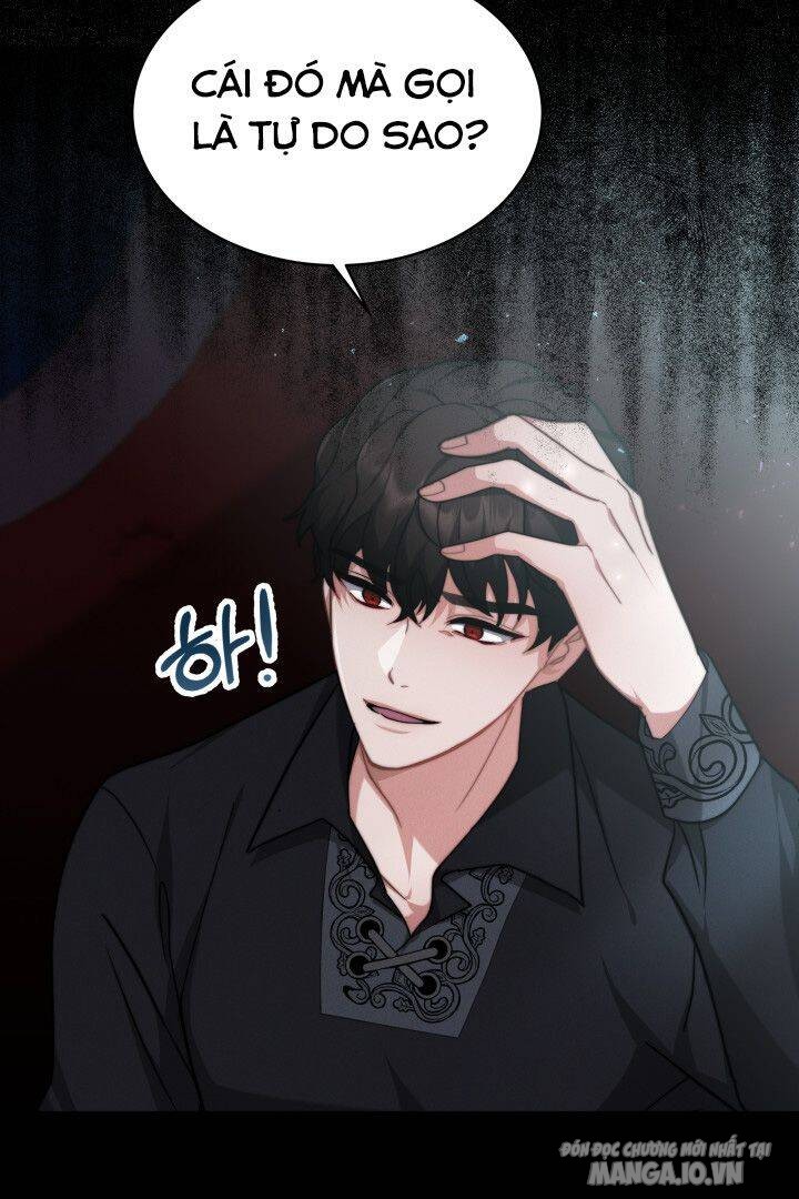 Nam Chính Là Chồng Cũ Của Tôi Chapter 10 - Trang 2