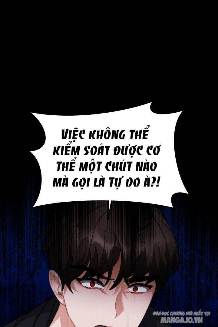 Nam Chính Là Chồng Cũ Của Tôi Chapter 10 - Trang 2