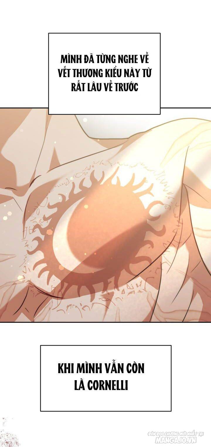 Nam Chính Là Chồng Cũ Của Tôi Chapter 13 - Trang 2