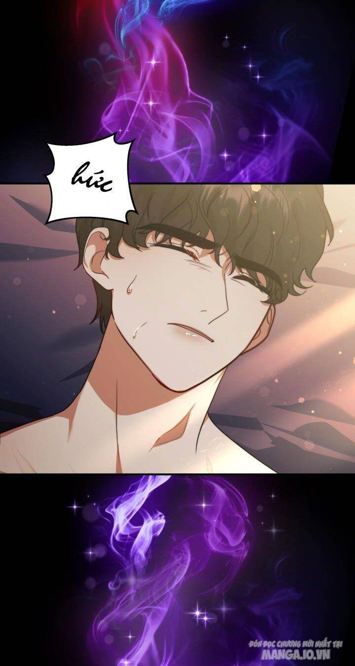 Nam Chính Là Chồng Cũ Của Tôi Chapter 13 - Trang 2