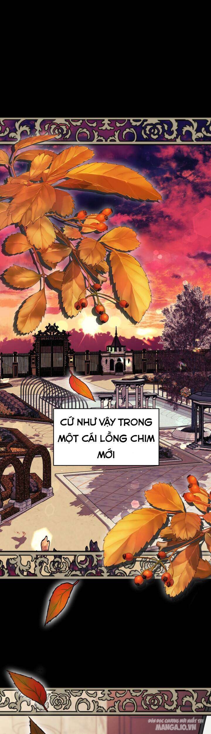 Nam Chính Là Chồng Cũ Của Tôi Chapter 17 - Trang 2