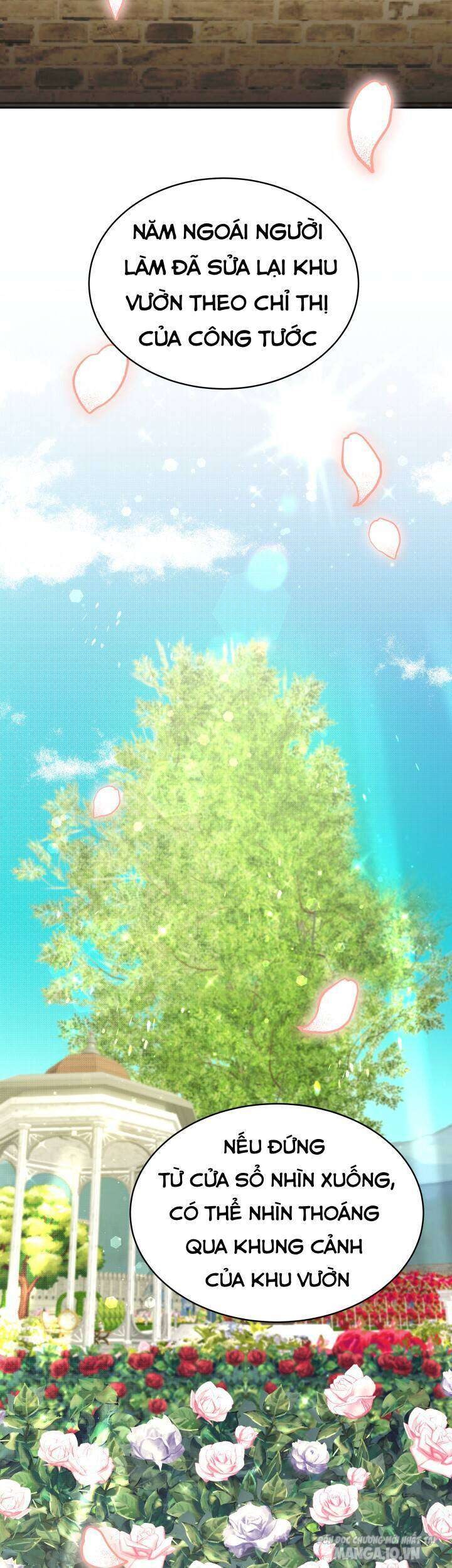 Nam Chính Là Chồng Cũ Của Tôi Chapter 17 - Trang 2