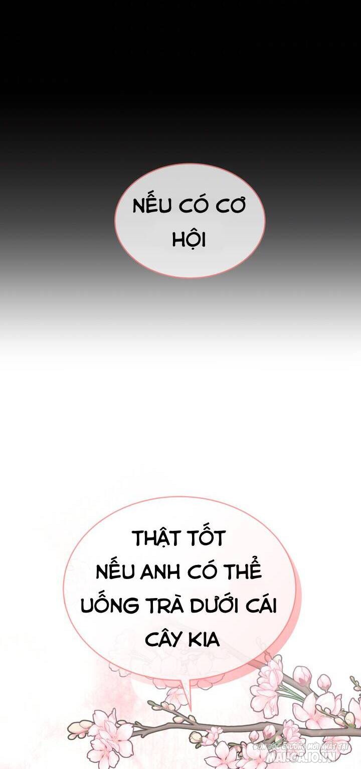 Nam Chính Là Chồng Cũ Của Tôi Chapter 17 - Trang 2