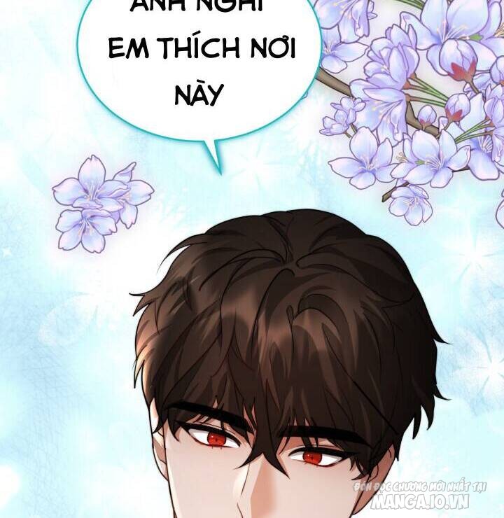 Nam Chính Là Chồng Cũ Của Tôi Chapter 17 - Trang 2