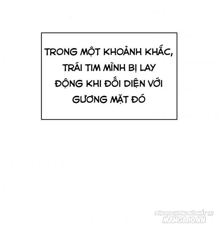 Nam Chính Là Chồng Cũ Của Tôi Chapter 17 - Trang 2