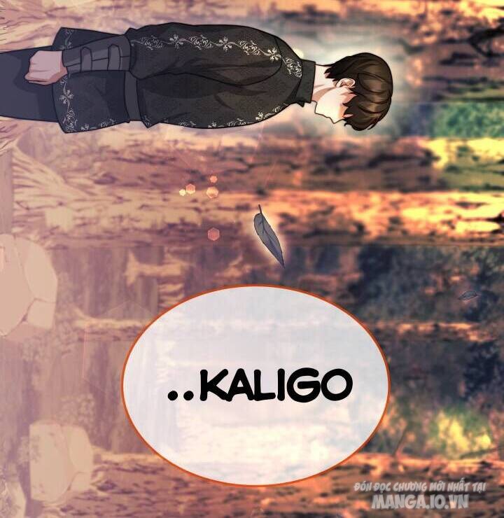 Nam Chính Là Chồng Cũ Của Tôi Chapter 17 - Trang 2