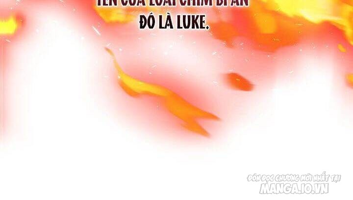 Nam Chính Là Chồng Cũ Của Tôi Chapter 21 - Trang 2