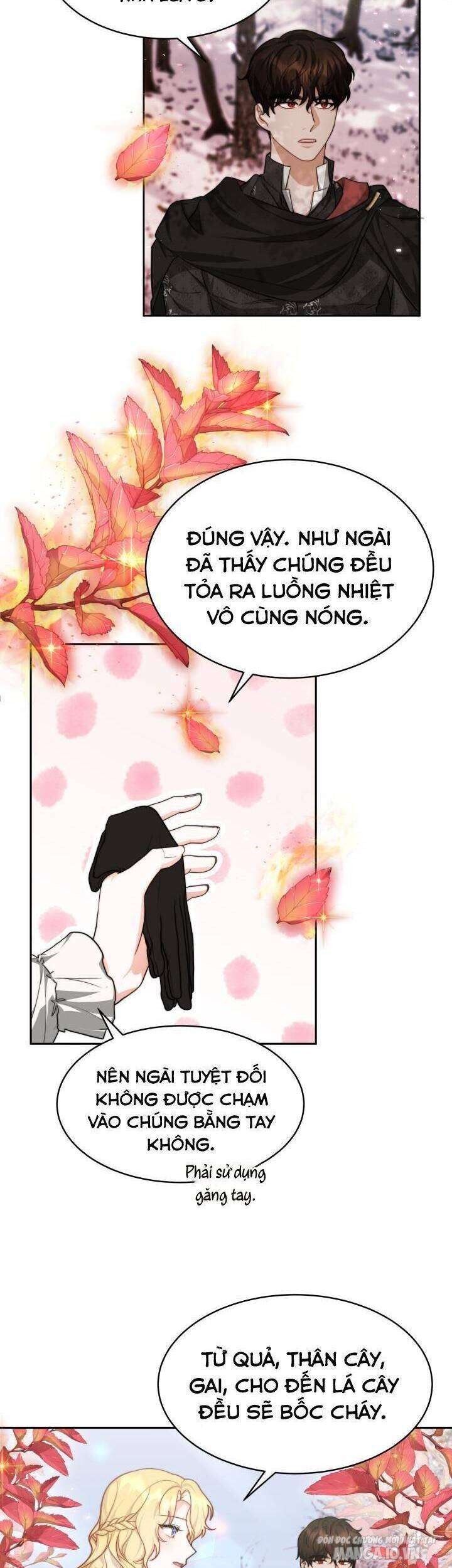 Nam Chính Là Chồng Cũ Của Tôi Chapter 22 - Trang 2