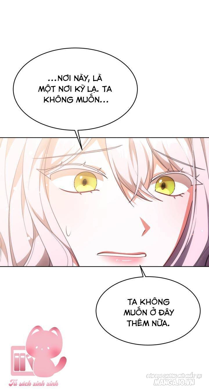 Nam Chính Là Chồng Cũ Của Tôi Chapter 36 - Trang 2