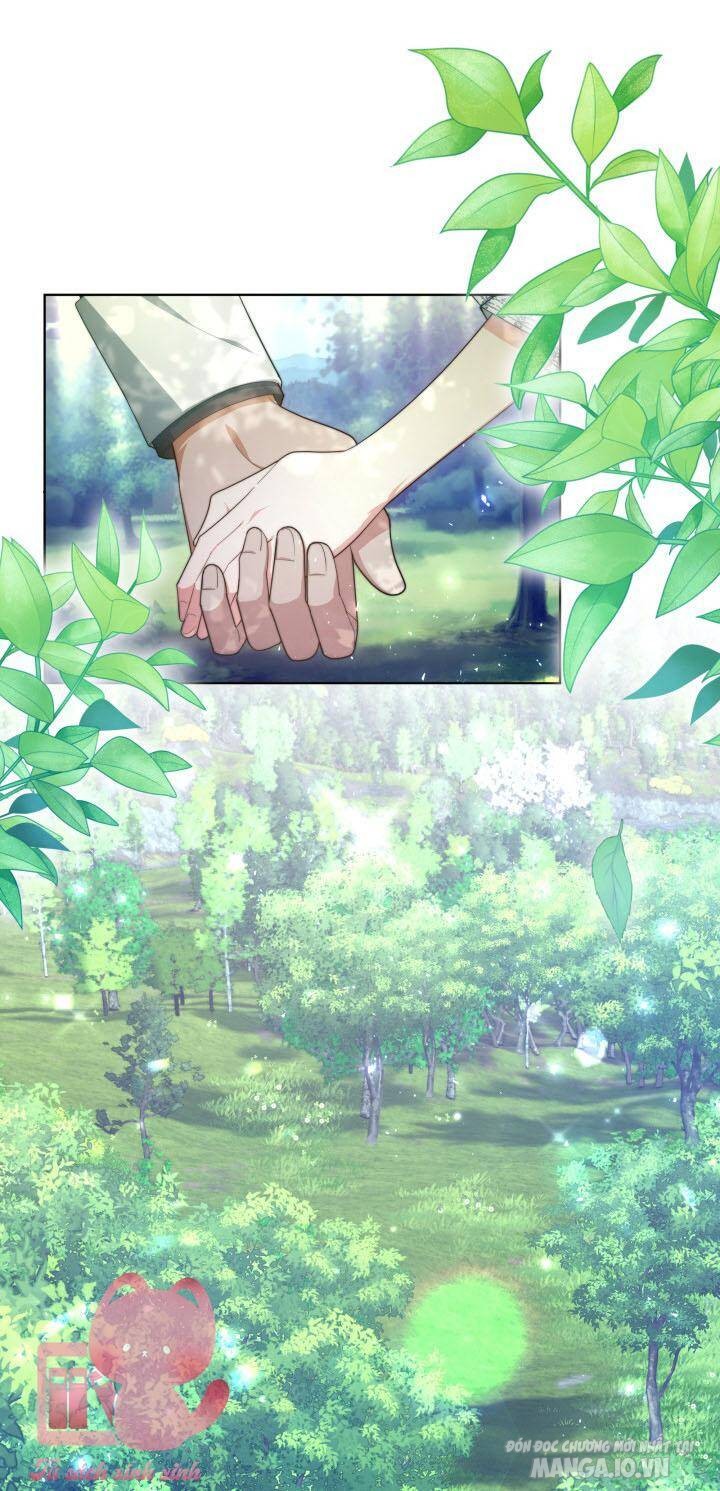 Nam Chính Là Chồng Cũ Của Tôi Chapter 38 - Trang 2