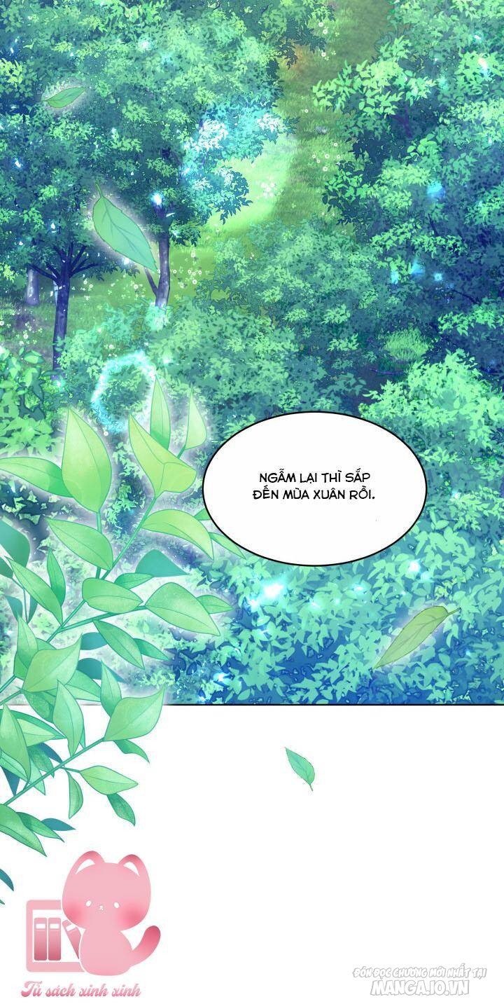 Nam Chính Là Chồng Cũ Của Tôi Chapter 38 - Trang 2