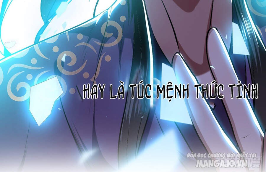 Nam Chủ Và Hậu Cung Đều Là Của Ta Chapter 0 - Trang 2