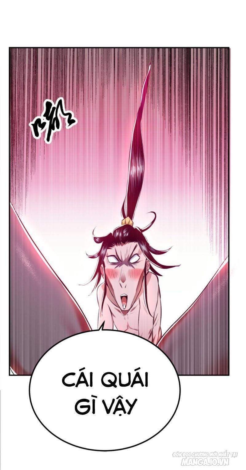 Nam Chủ Và Hậu Cung Đều Là Của Ta Chapter 10 - Trang 2