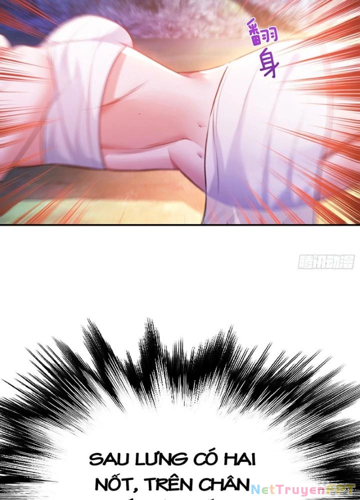 Nam Chủ Và Hậu Cung Đều Là Của Ta Chapter 54 - Trang 2