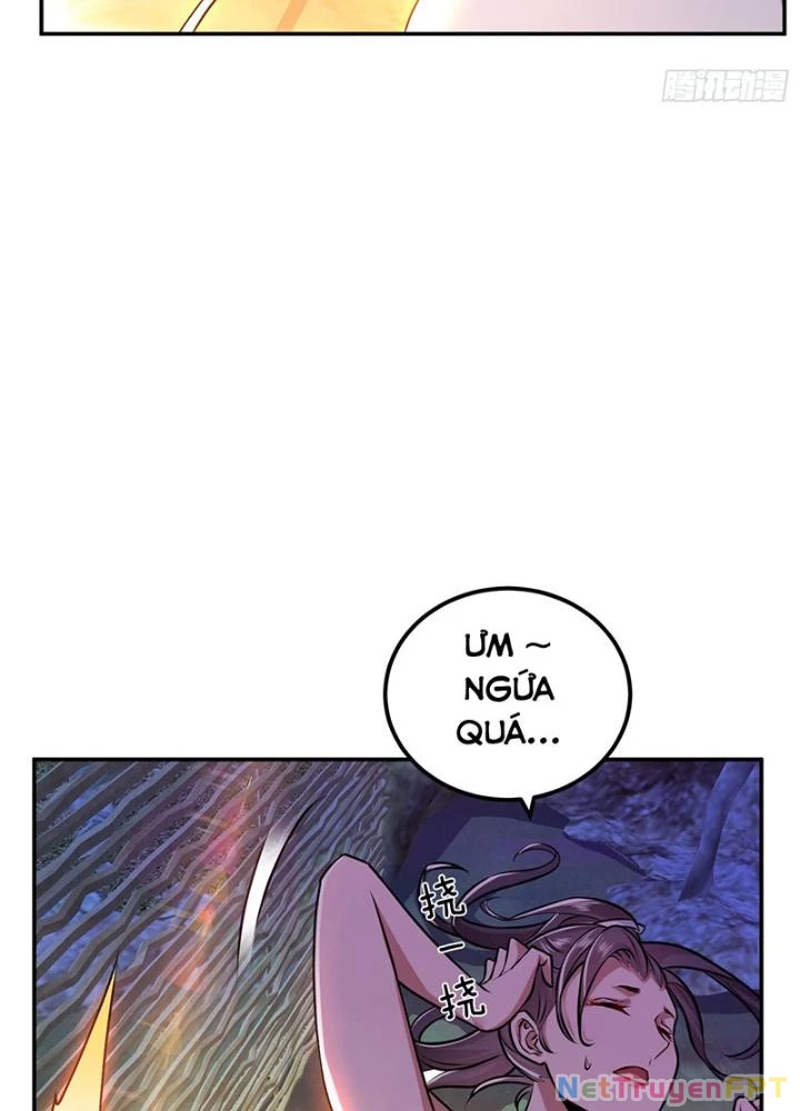 Nam Chủ Và Hậu Cung Đều Là Của Ta Chapter 55 - Trang 2