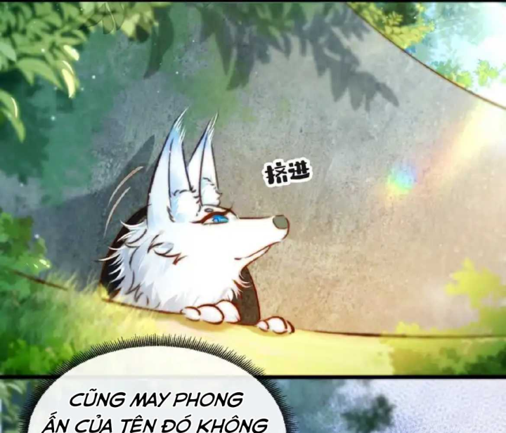 Nam Chủ Vì Sao Quyến Rũ Ta Chapter 3 - Trang 2