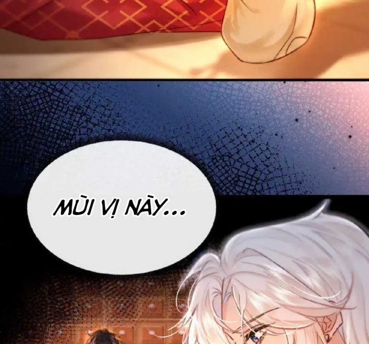 Nam Chủ Vì Sao Quyến Rũ Ta Chapter 3 - Trang 2