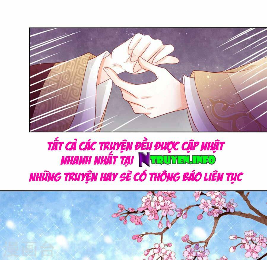 Nam Phi Nữ Tướng Chapter 11 - Trang 2