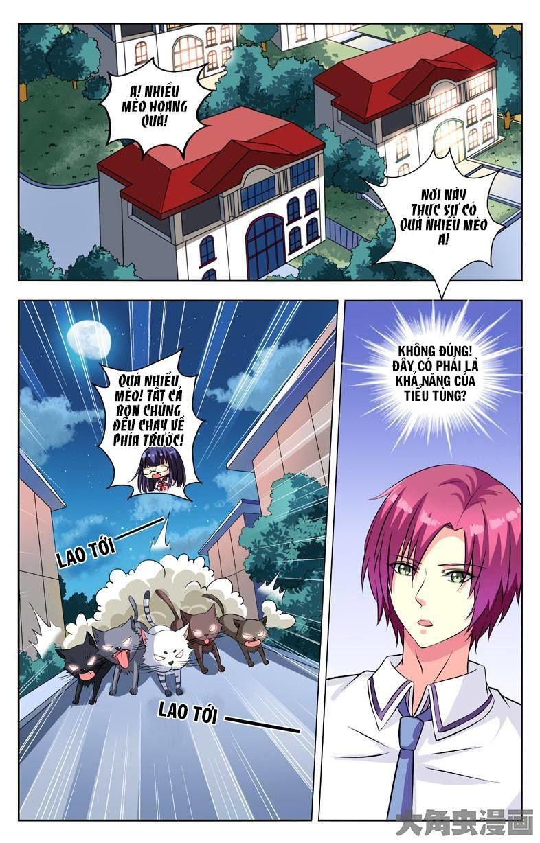 Nam Thần Của Tôi Chapter 54 - Trang 2