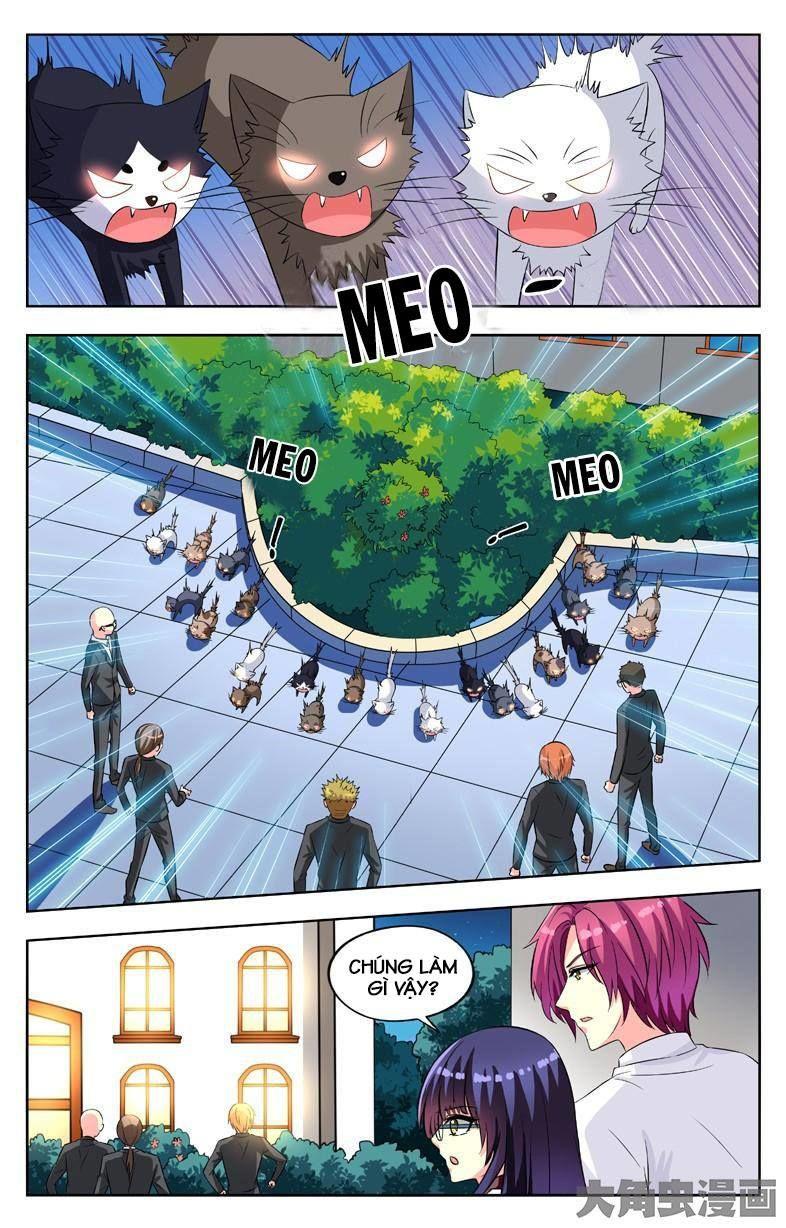 Nam Thần Của Tôi Chapter 54 - Trang 2