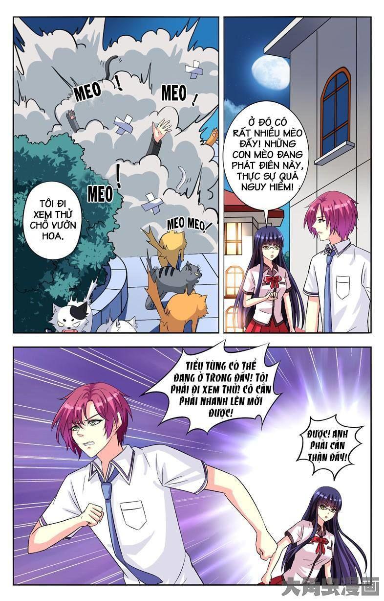 Nam Thần Của Tôi Chapter 54 - Trang 2