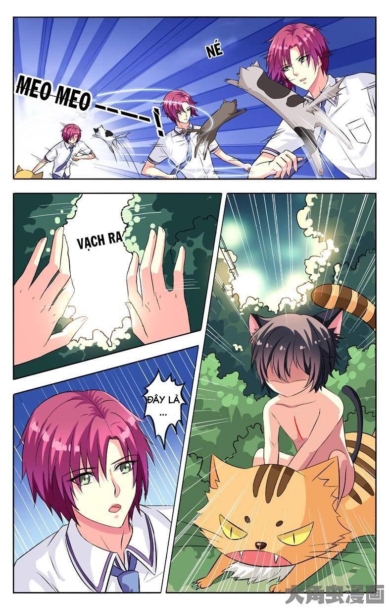 Nam Thần Của Tôi Chapter 54 - Trang 2