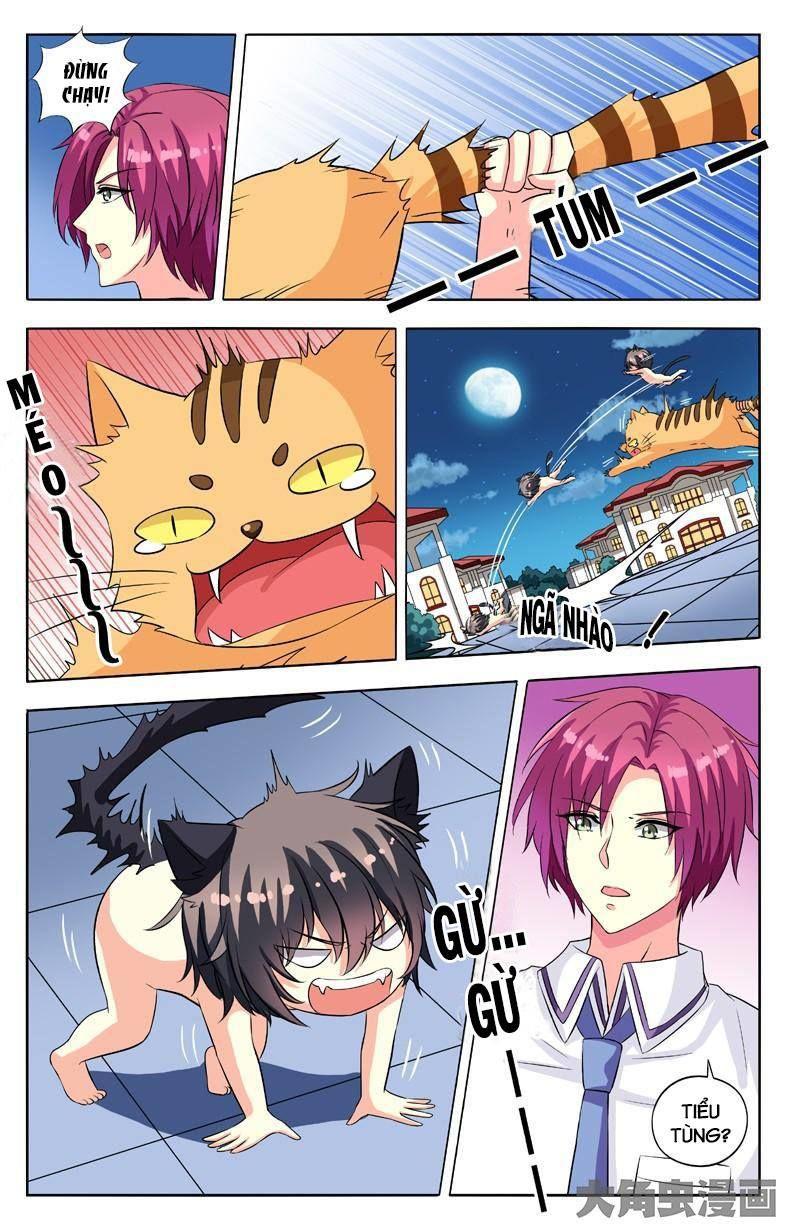 Nam Thần Của Tôi Chapter 54 - Trang 2