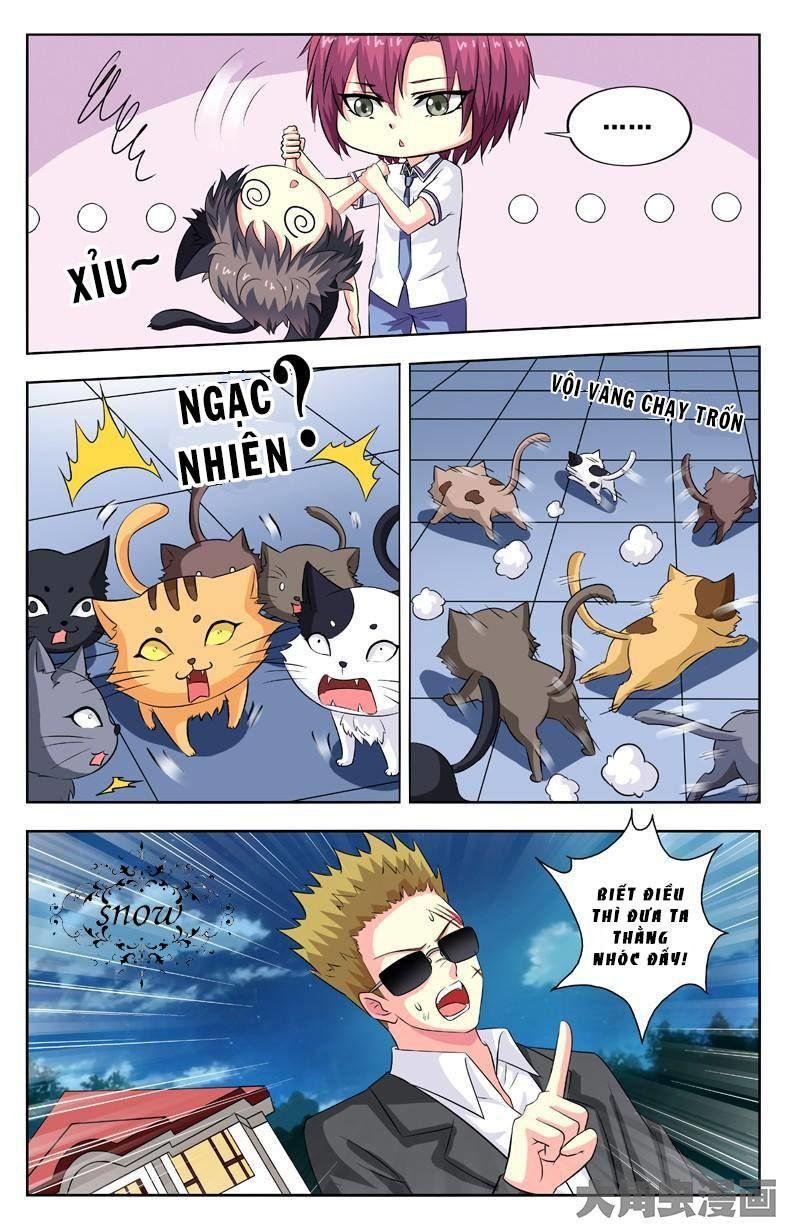 Nam Thần Của Tôi Chapter 55 - Trang 2