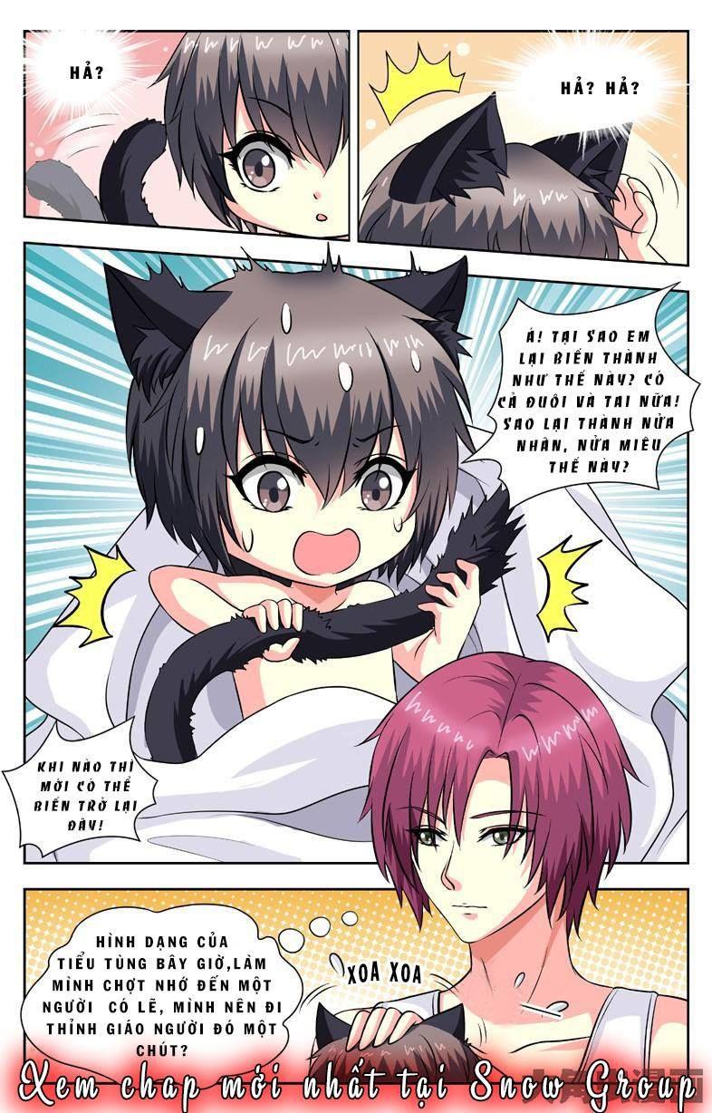 Nam Thần Của Tôi Chapter 57 - Trang 2