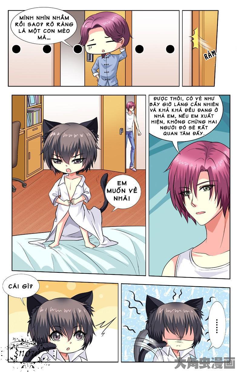 Nam Thần Của Tôi Chapter 58 - Trang 2