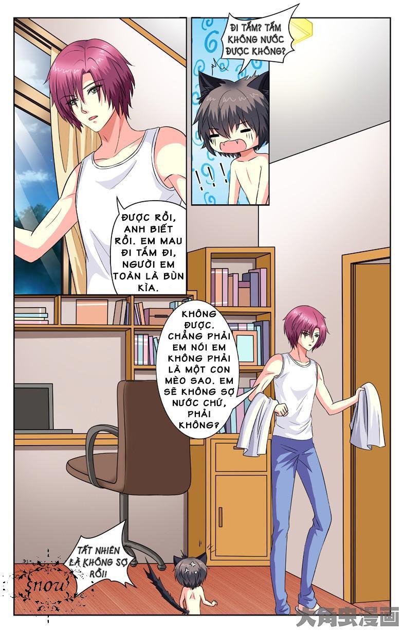 Nam Thần Của Tôi Chapter 58 - Trang 2