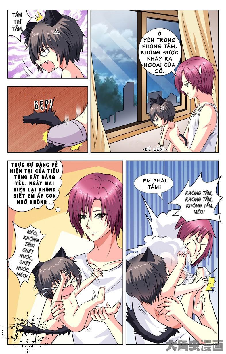 Nam Thần Của Tôi Chapter 58 - Trang 2