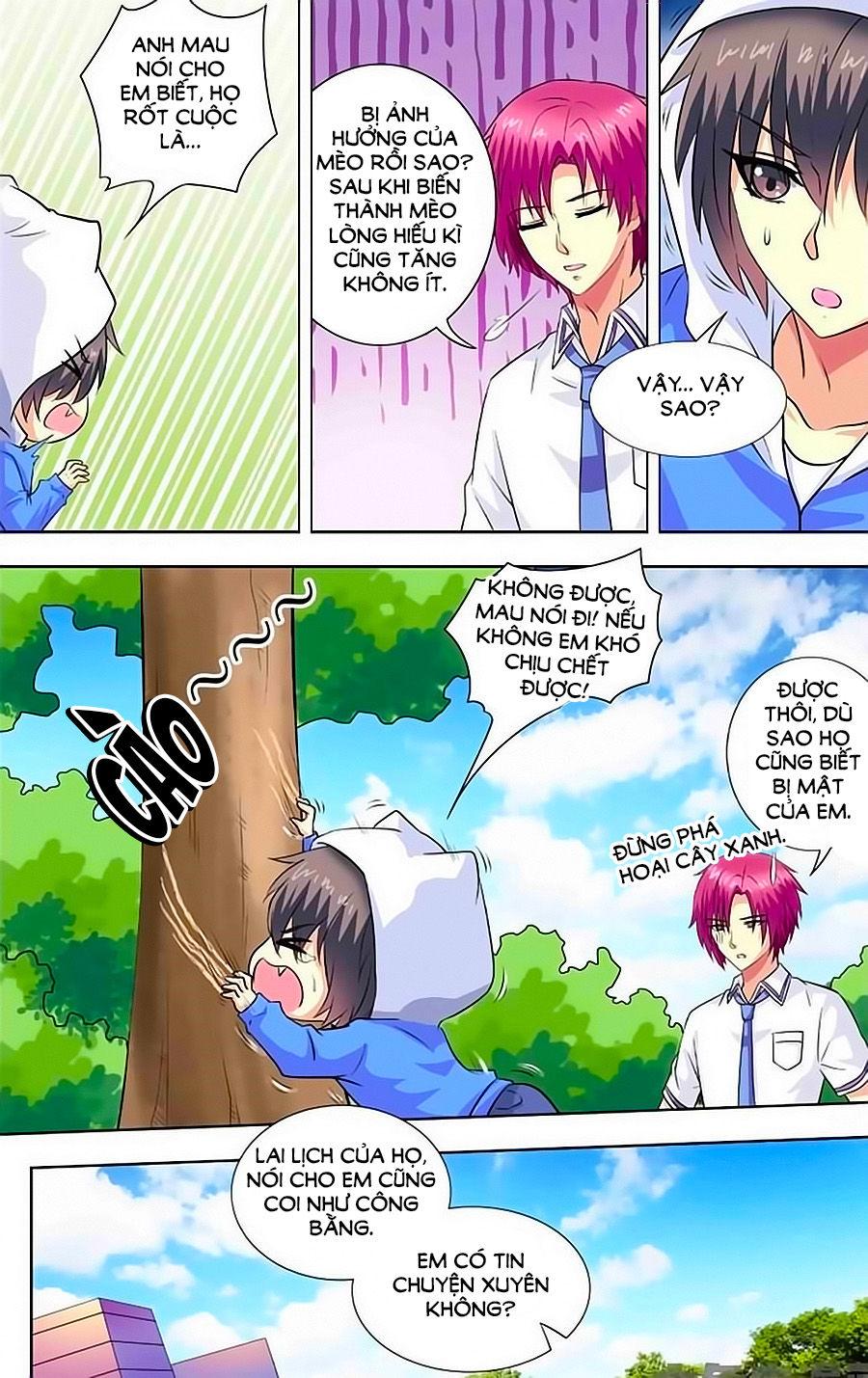 Nam Thần Của Tôi Chapter 66 - Trang 2