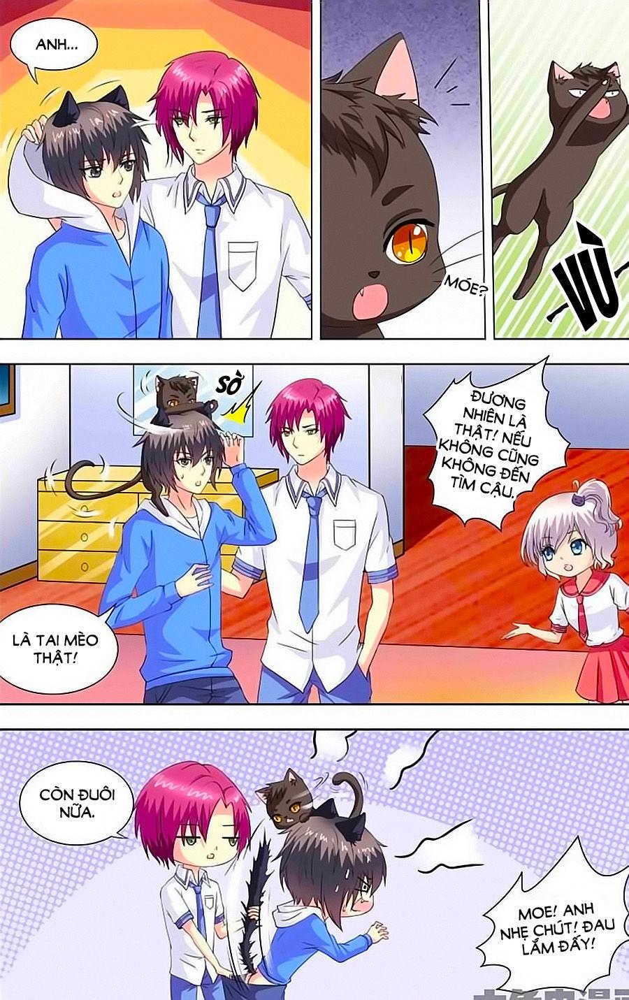 Nam Thần Của Tôi Chapter 67 - Trang 2