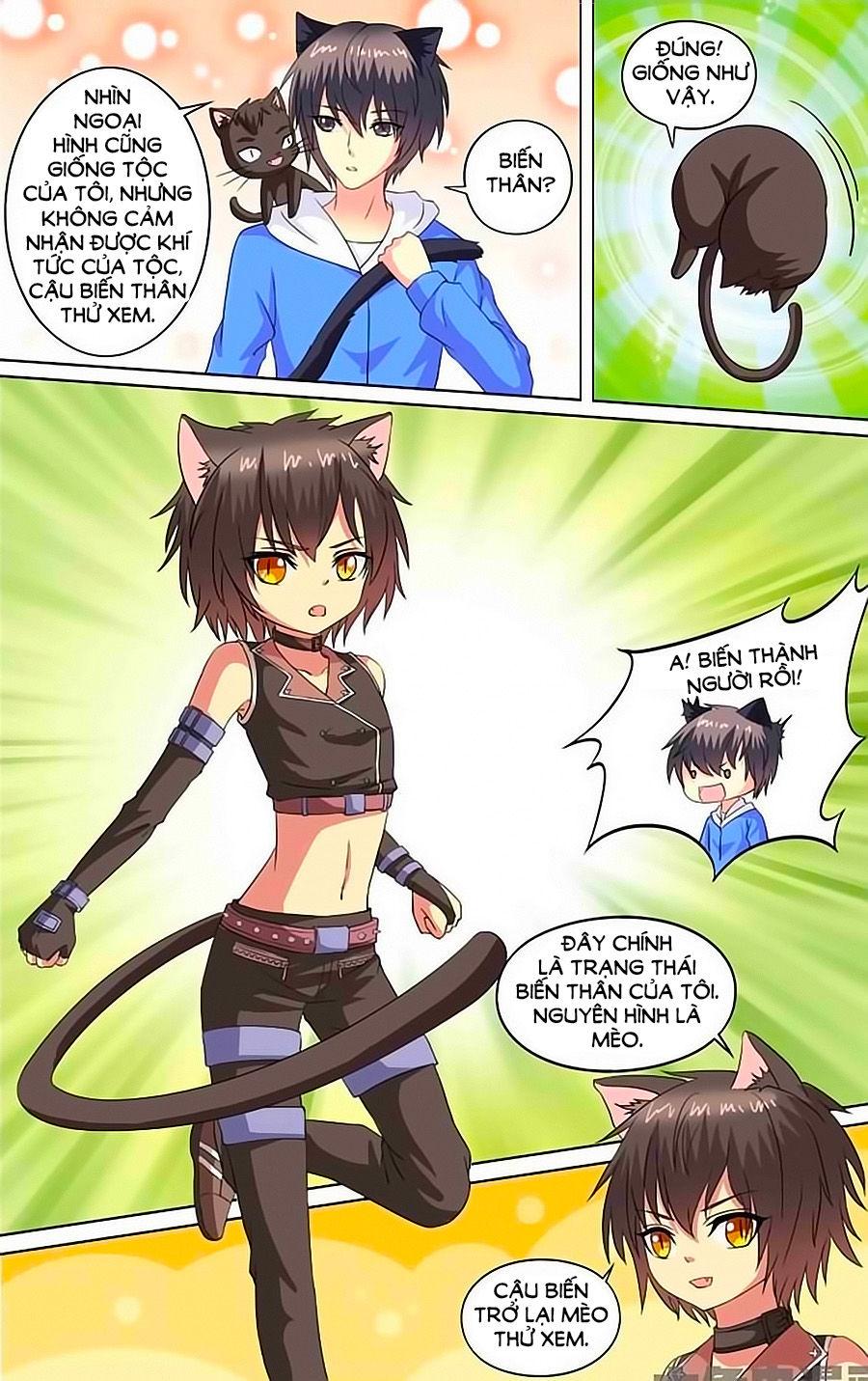 Nam Thần Của Tôi Chapter 67 - Trang 2