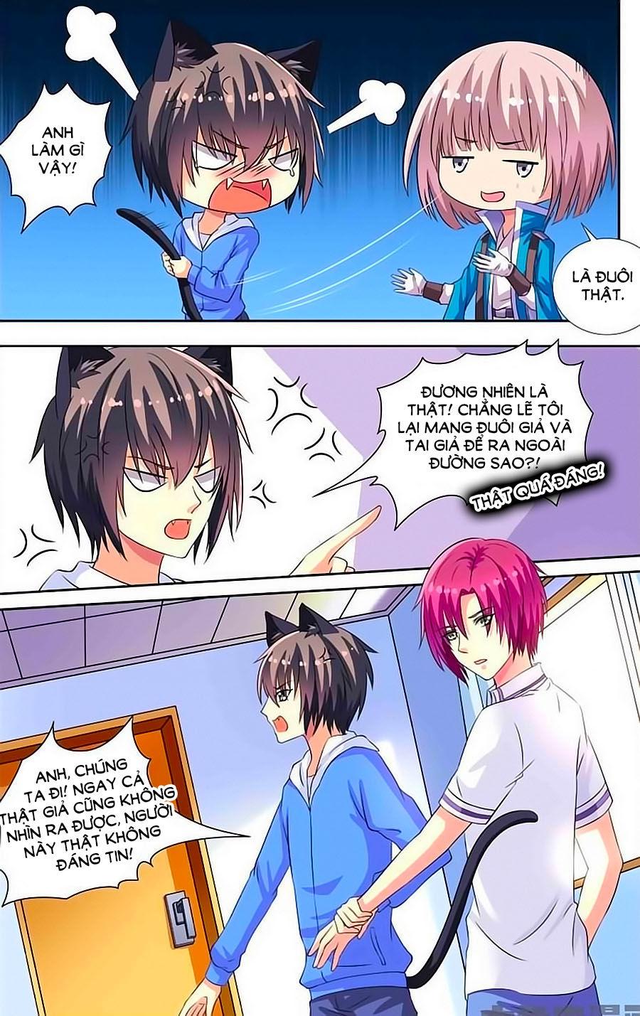 Nam Thần Của Tôi Chapter 70 - Trang 2