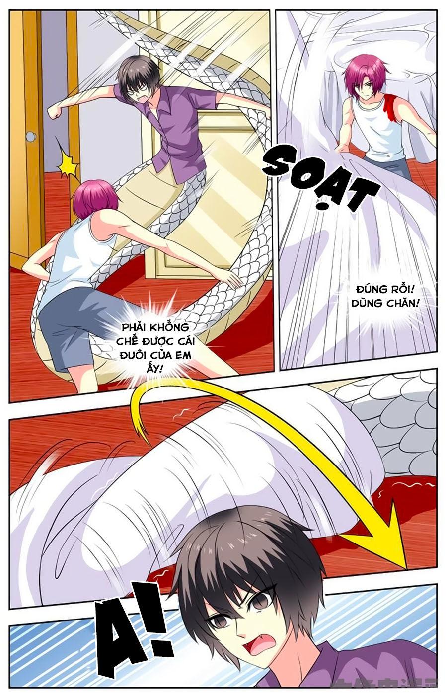 Nam Thần Của Tôi Chapter 84 - Trang 2