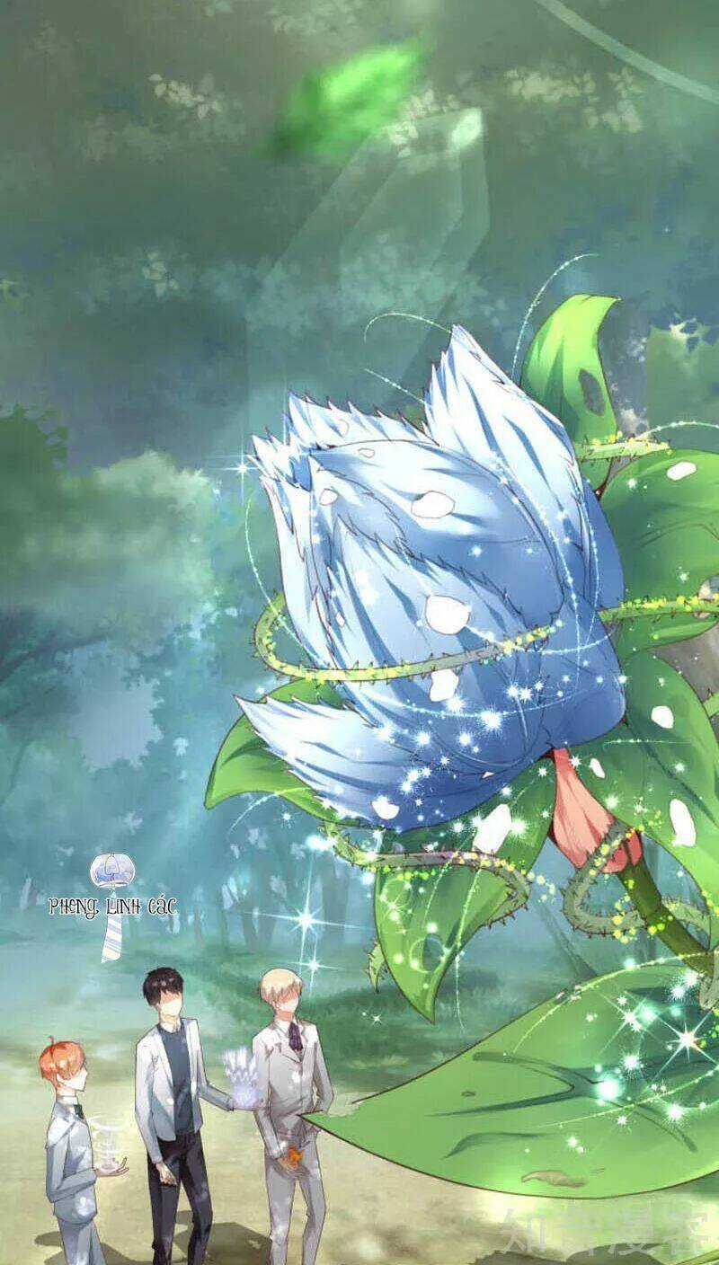 Nam Thần Là Một Đôi Chapter 50 - Trang 2