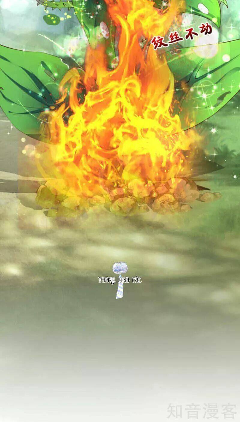 Nam Thần Là Một Đôi Chapter 50 - Trang 2