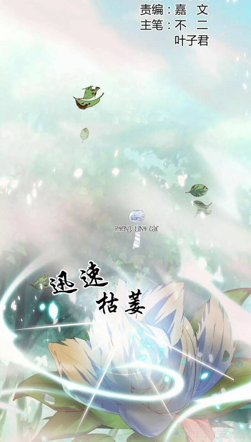 Nam Thần Là Một Đôi Chapter 51 - Trang 2