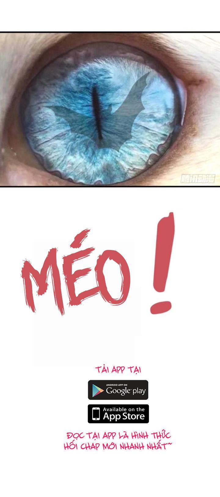 Nam Thần Ma Cà Rồng: Sủng Nhược Tiểu Lãn Thê Chapter 16 - Trang 2