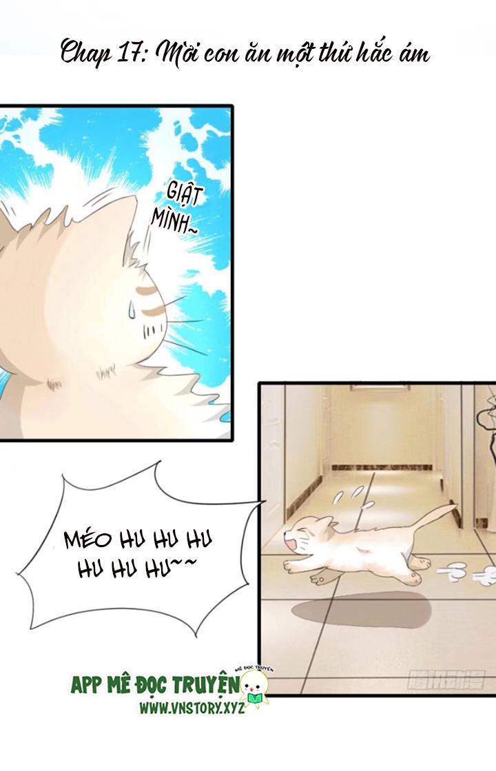 Nam Thần Ma Cà Rồng: Sủng Nhược Tiểu Lãn Thê Chapter 17 - Trang 2