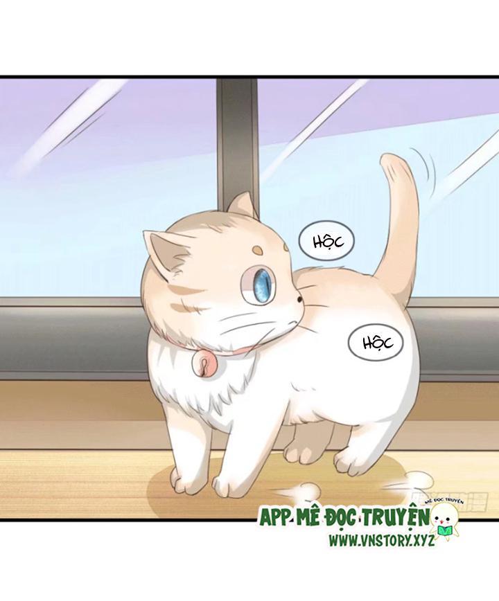 Nam Thần Ma Cà Rồng: Sủng Nhược Tiểu Lãn Thê Chapter 17 - Trang 2